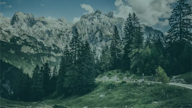 BIO-CAPITAL key visual - an alpine landscape with mountains and forest.