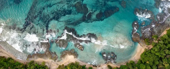 Aerial view jungle of a jungle beach