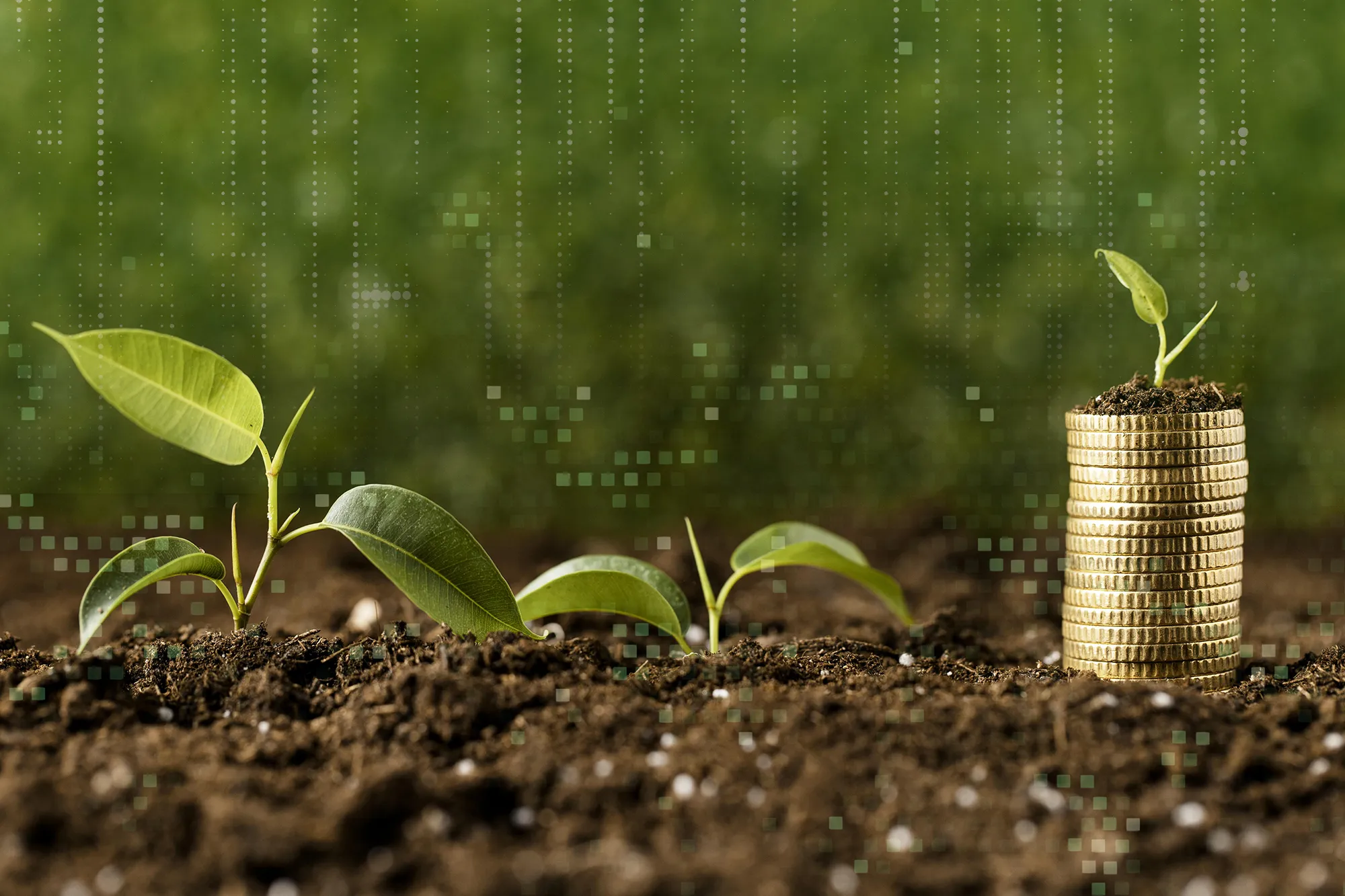 Plants-with-coins-stacked-data